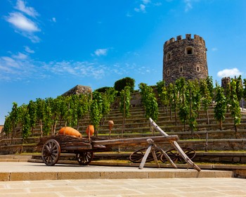 Крепость Рабат, Боржоми