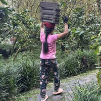 Фото отзыва 1: экскурсия "Традиции и обряды Бали"