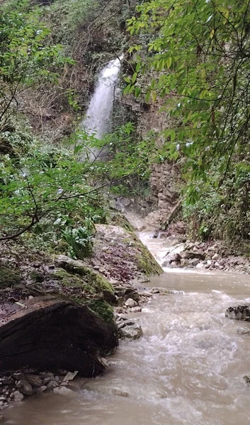 Отлично съездили! Побывали на даче Сталина, дегустации вина с прикольной познавательной лекцией, потом были на горе