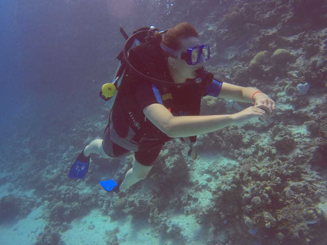 Индивидуальный дайвинг у берега Красного моря (Полина)