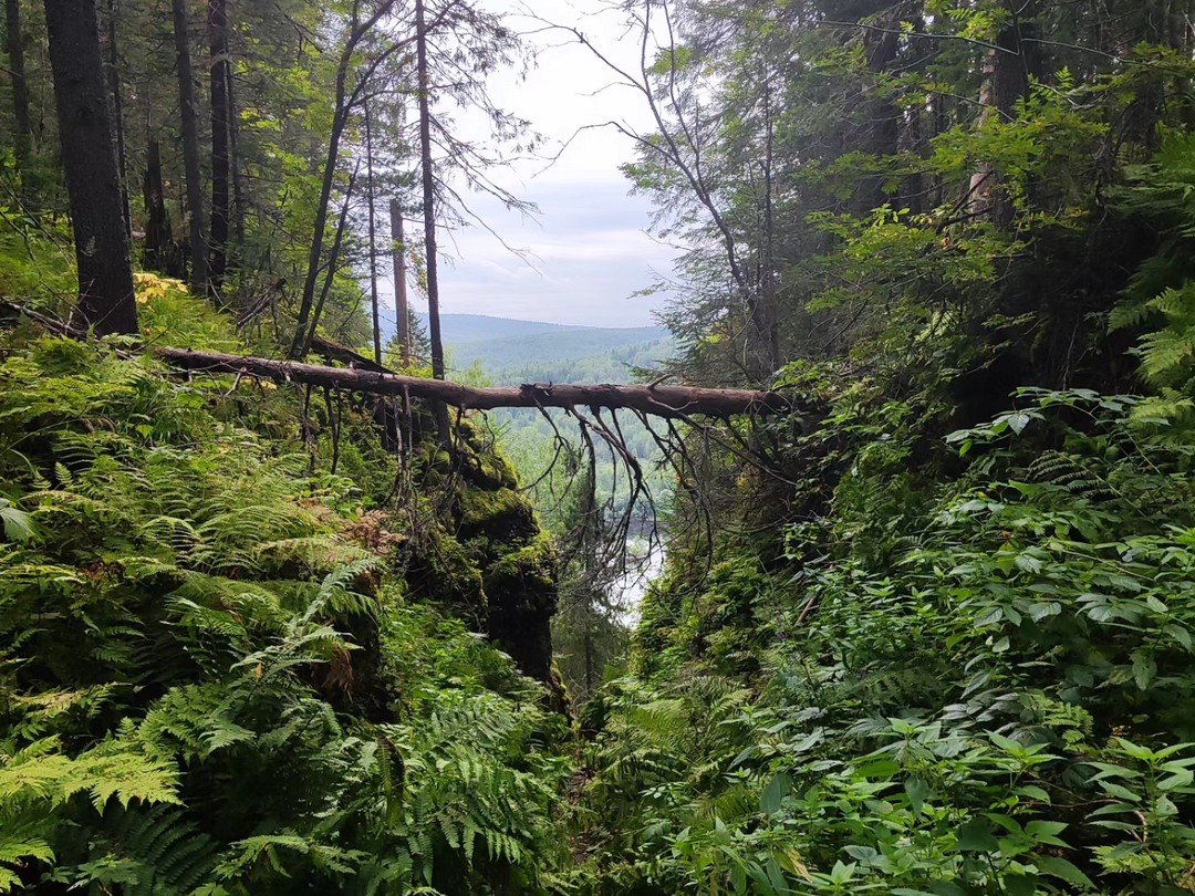 Наше путешествие длилось почти сутки. За это время мы посетили потрясающе красивые места. Вид с Полюда