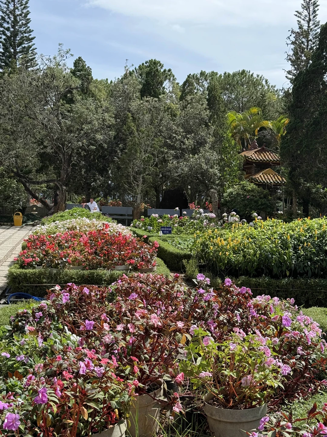 Экскурсия нам очень понравилась. Михаил, как только приехал за нами в отель, расположил к себе абсолютно