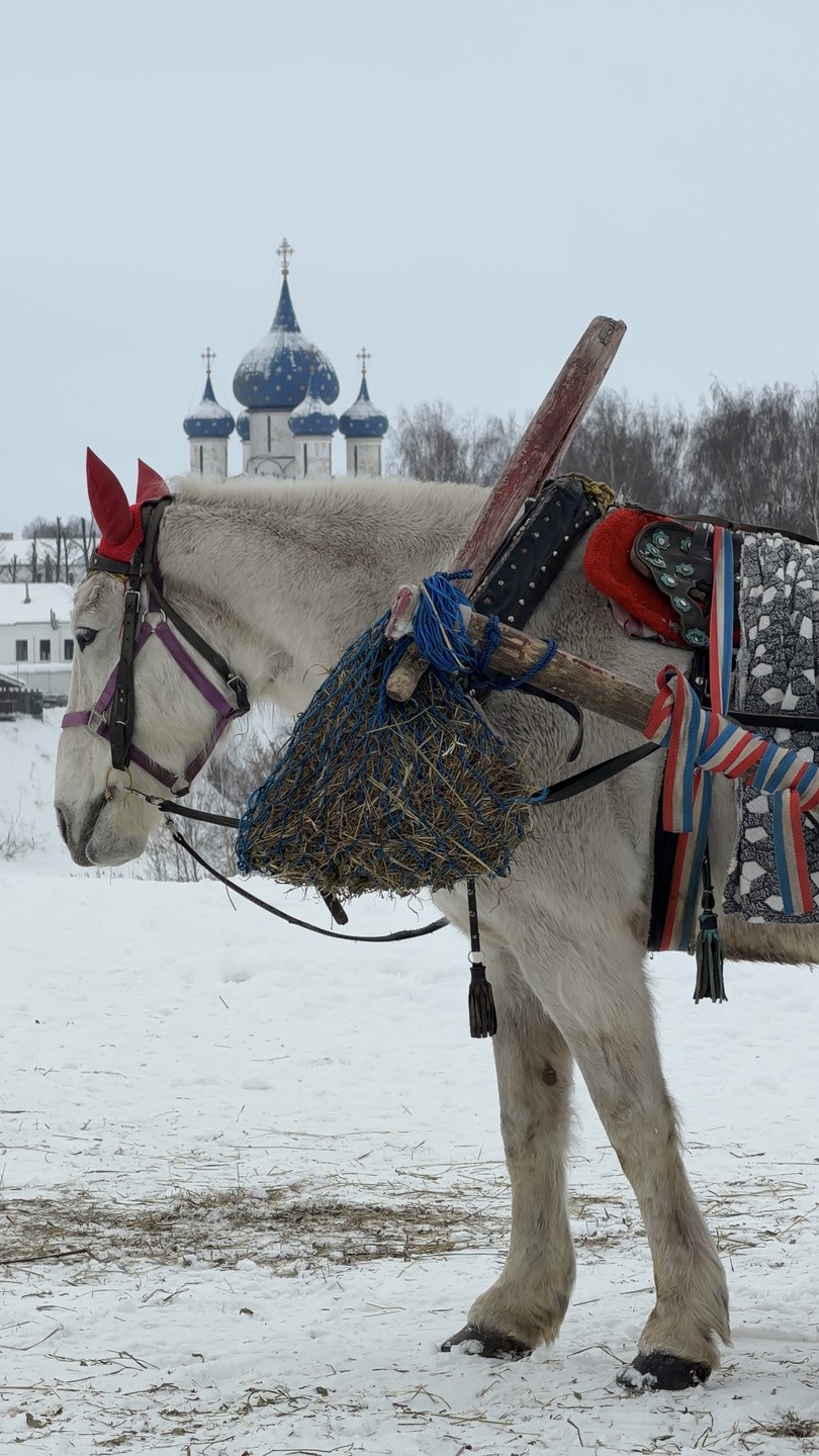 Осталась довольна экскурсией! Обязательно вернусь в Суздаль летом