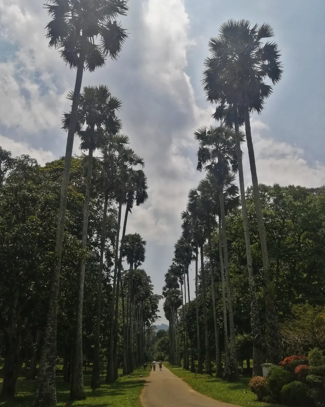 Очень понравилась данная экскурсия и экскурсовод. Сразу виден многолетний опыт и огромный пласт знаний. Так получилось