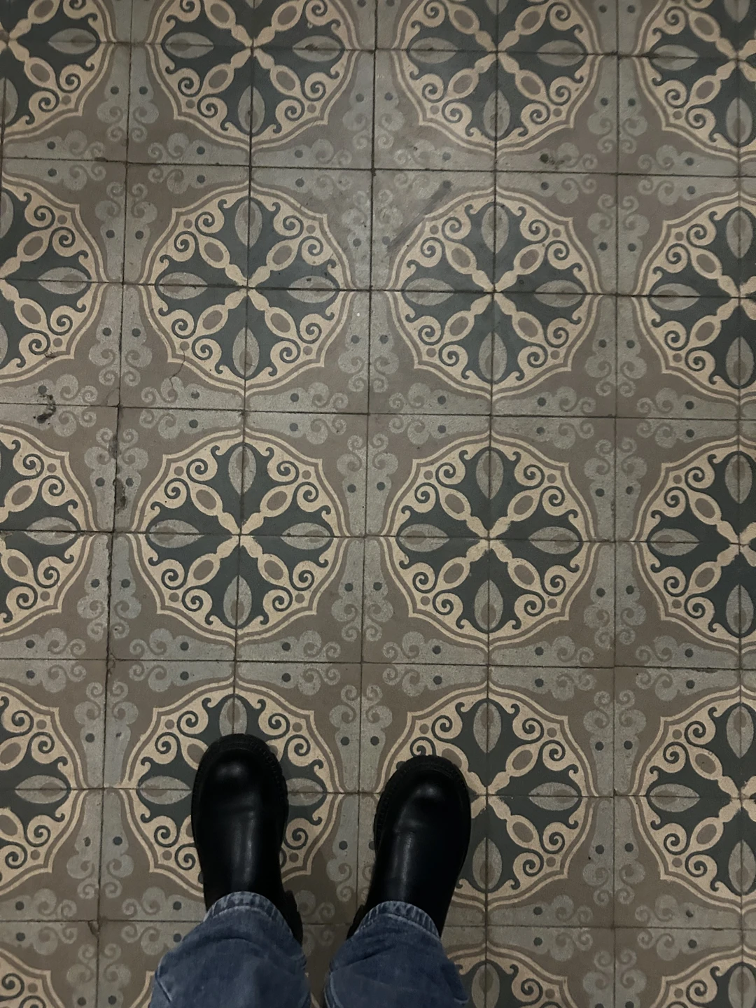 Секреты Петроградской стороны: дворы-колодцы, парадные и доходные дома (Алипова)