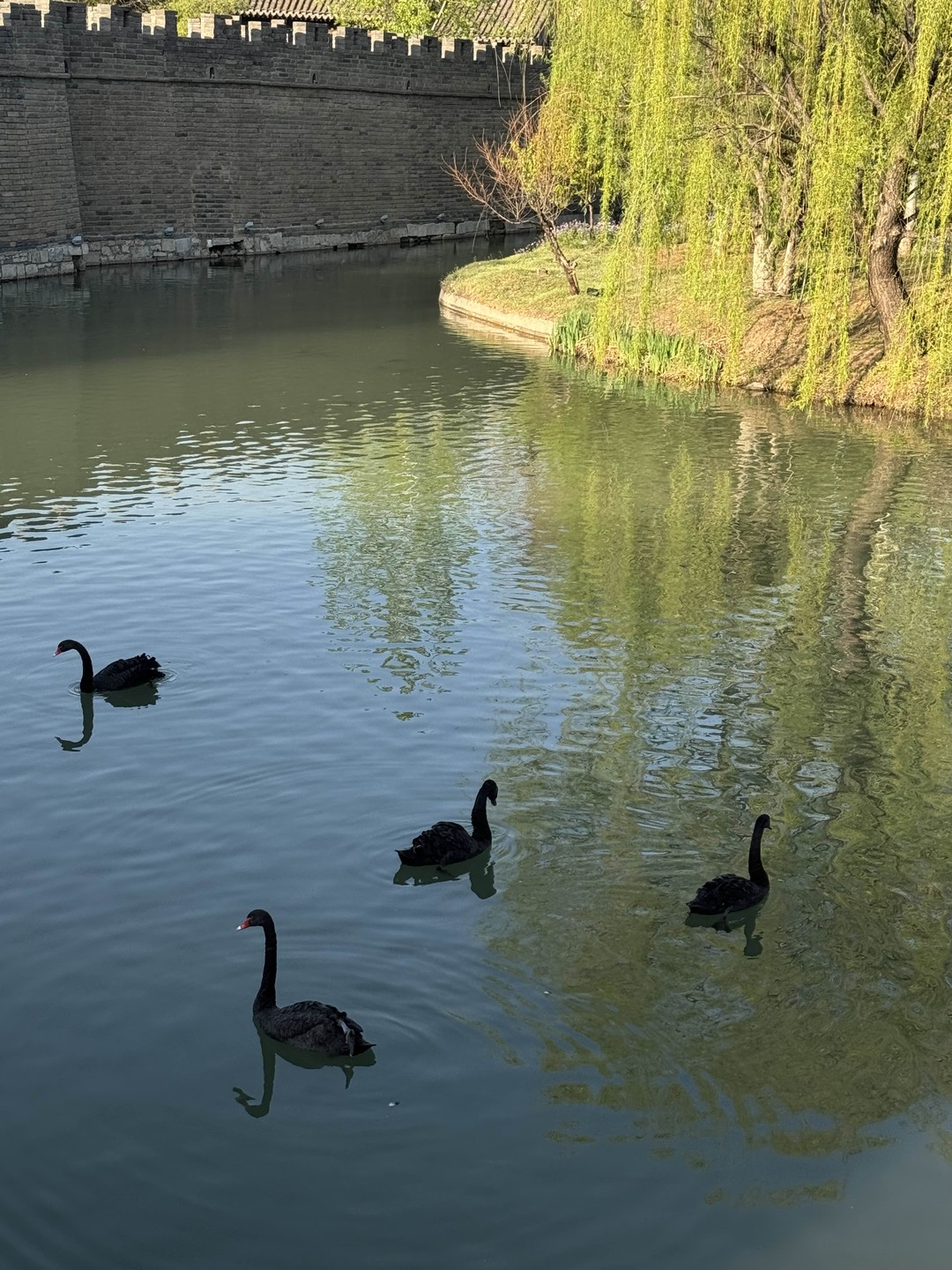Город на воде Губэй + участок Китайской стены Симатай (Александр)