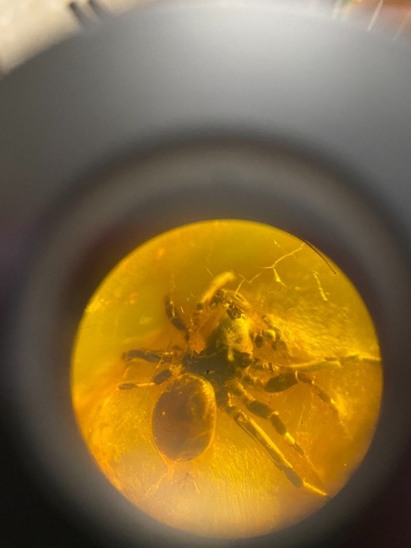 Три города на Балтике: Янтарный, Светлогорск, Балтийск + Филинская бухта