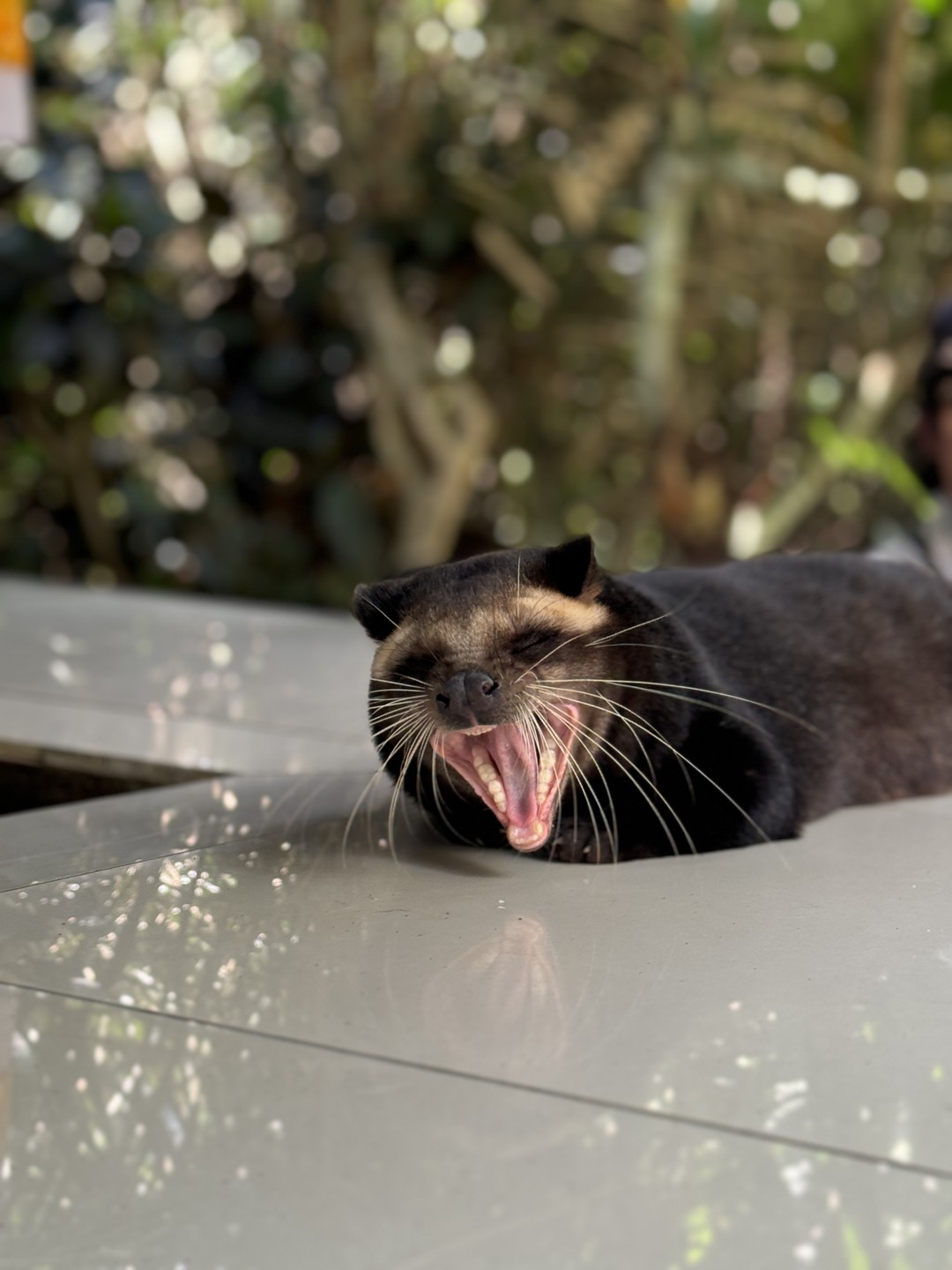 Экскурсия оставила самые приятные впечатления. Отлично продуман маршрут, в каждой локации есть своя фишка (атмосферный завтрак