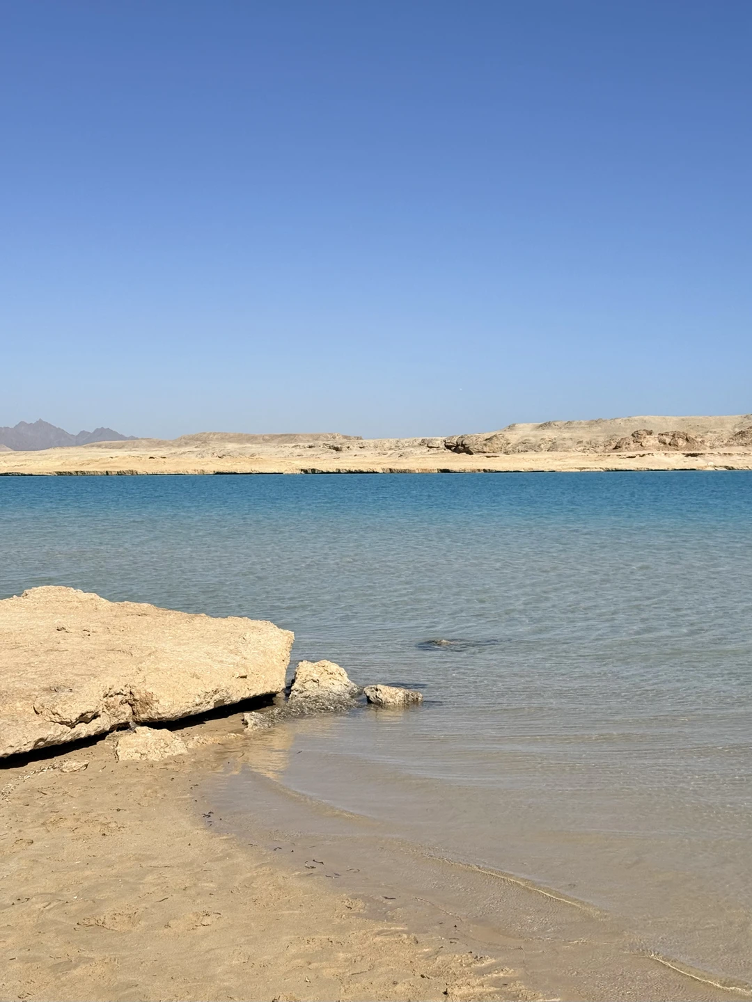 Я возлагал очень большие надежды на эту экскурсию, так как мечтал насладиться подводным видом Красного моря