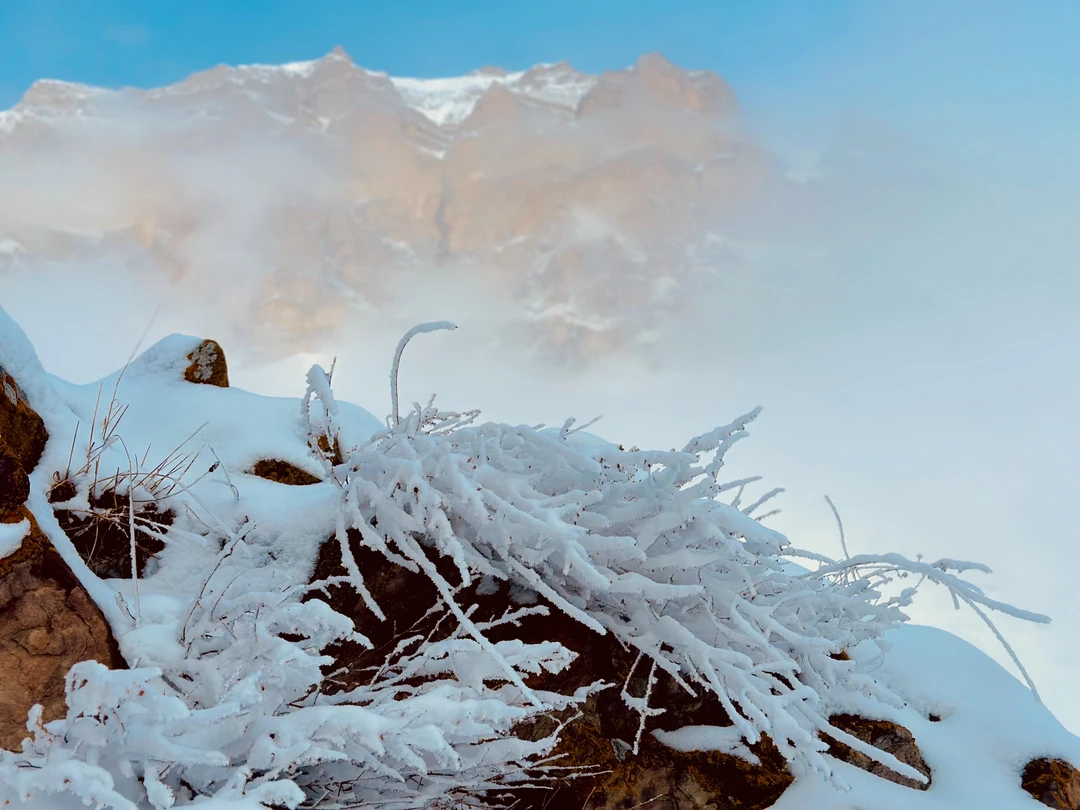 Ездили на экскурсию 04.02.2026г. Комфортный автомобиль Infinity Q56, отличный водитель, он же гид, Александр интересно рассказывал