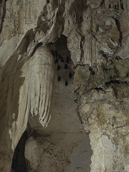 Покупаться в водопадах была хорошая идея, но идти к ним км вверх по бездорожью- было непросто, совсем непросто…