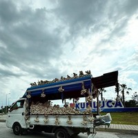 Фото отзыва 3: экскурсия "Из Кемера — в Демре и Каш: к храму Святого Николая и пейзажам"