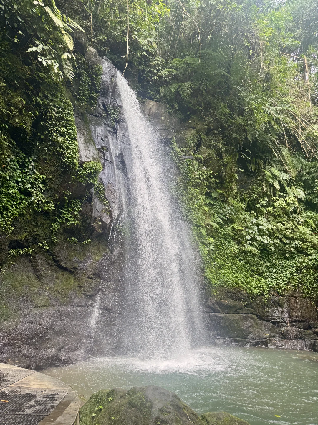 Хотели бы выразить огромную благодарность Густи за прекрасные 2 дня в его компании. Были на экскурсии «все краски Бали» и ездили с ним на Нуса Пенида