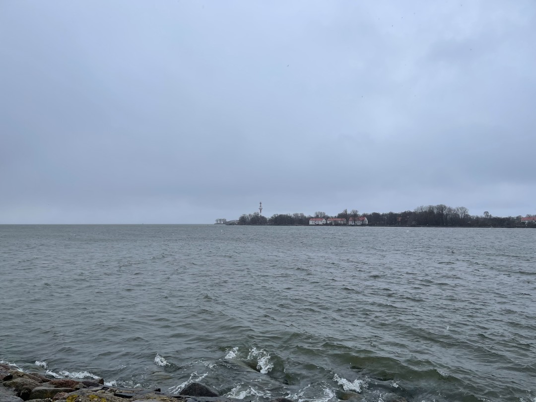 Янтарный, Светлогорск и Филинская бухта - с гидом-писателем (Марина)