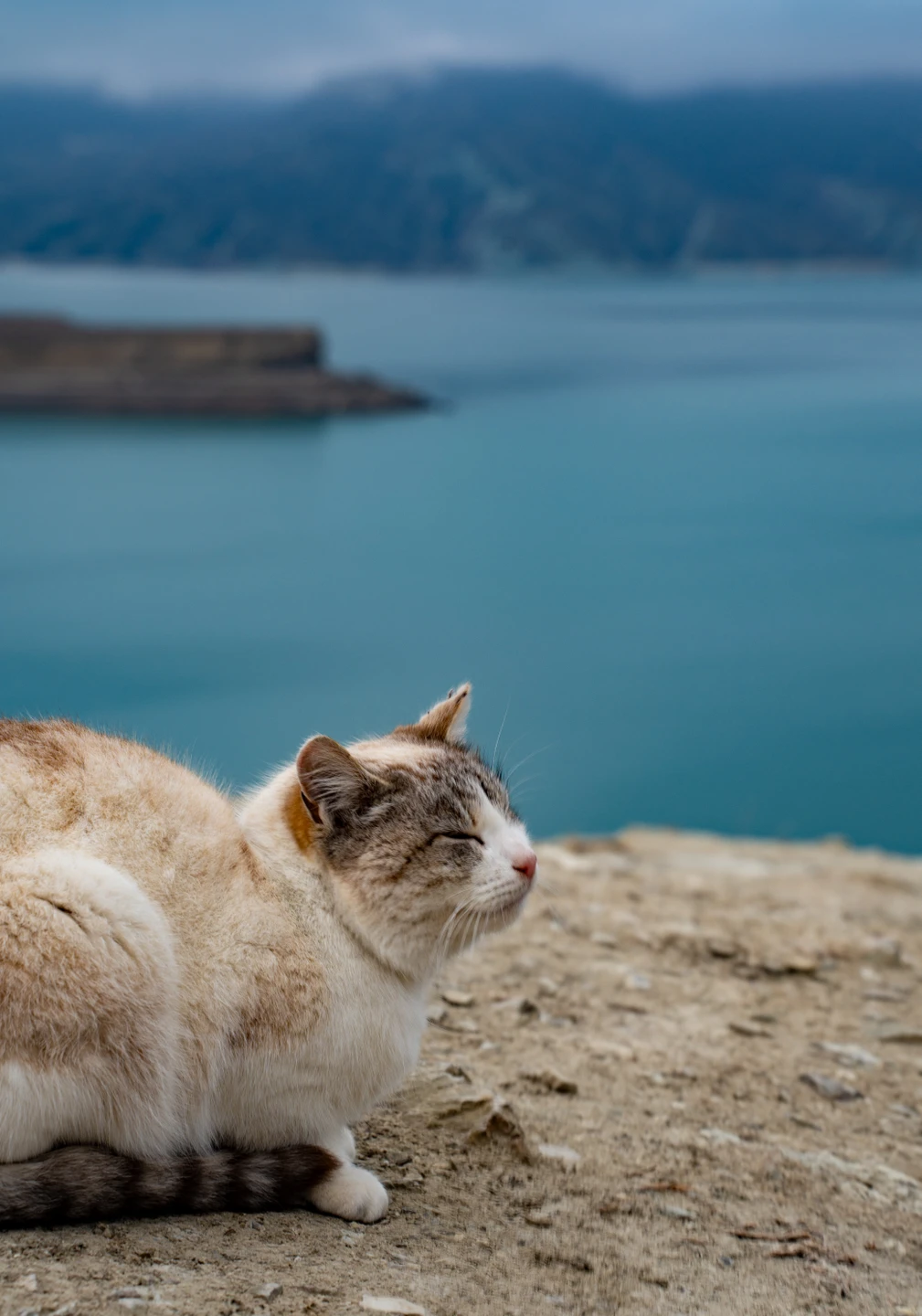 Все понравилось! Кто думает, стоит ли ехать зимой, я считаю, что все безопасно и очень красиво
