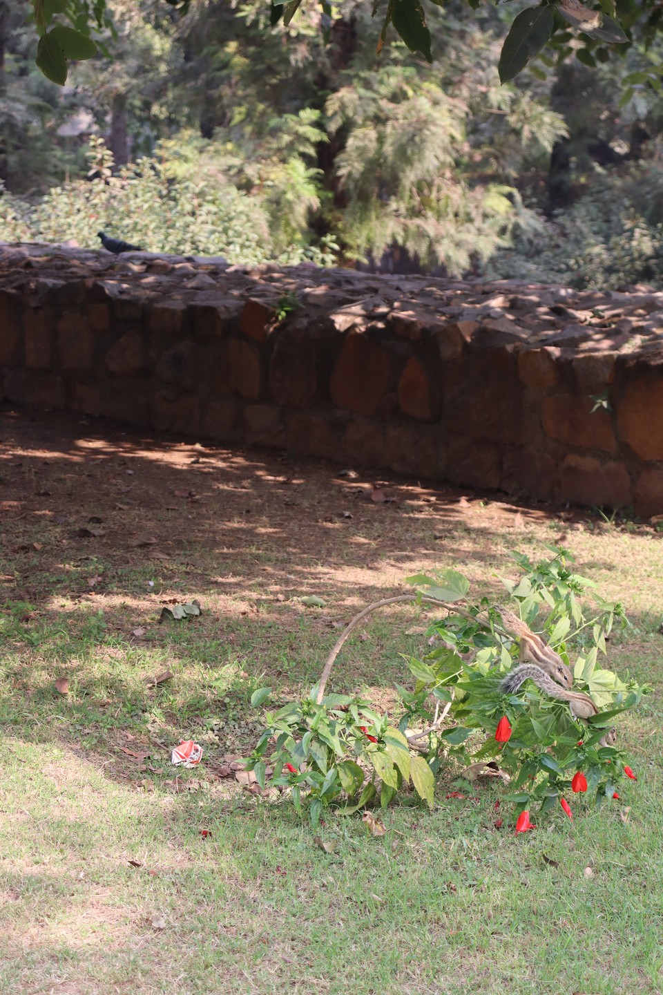 Экскурсия состоялась в ноябре 2025 года