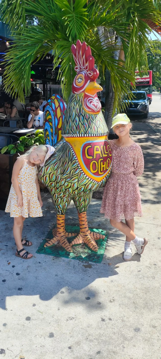 Мы заказали экскурсию "Секретный Майами" и остались очень довольны. Нашим гидом была Екатерина. Она уточнила у