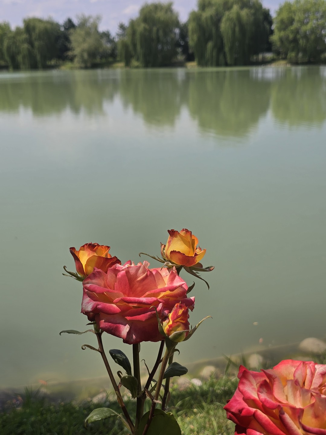 Экскурсия очень понравилась, несмотря на долгие переезды под интересные рассказы Ольги о местной жизни и традициях