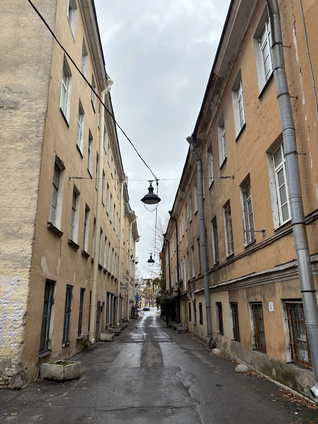 Секретные места Васильевского острова (Ольга)