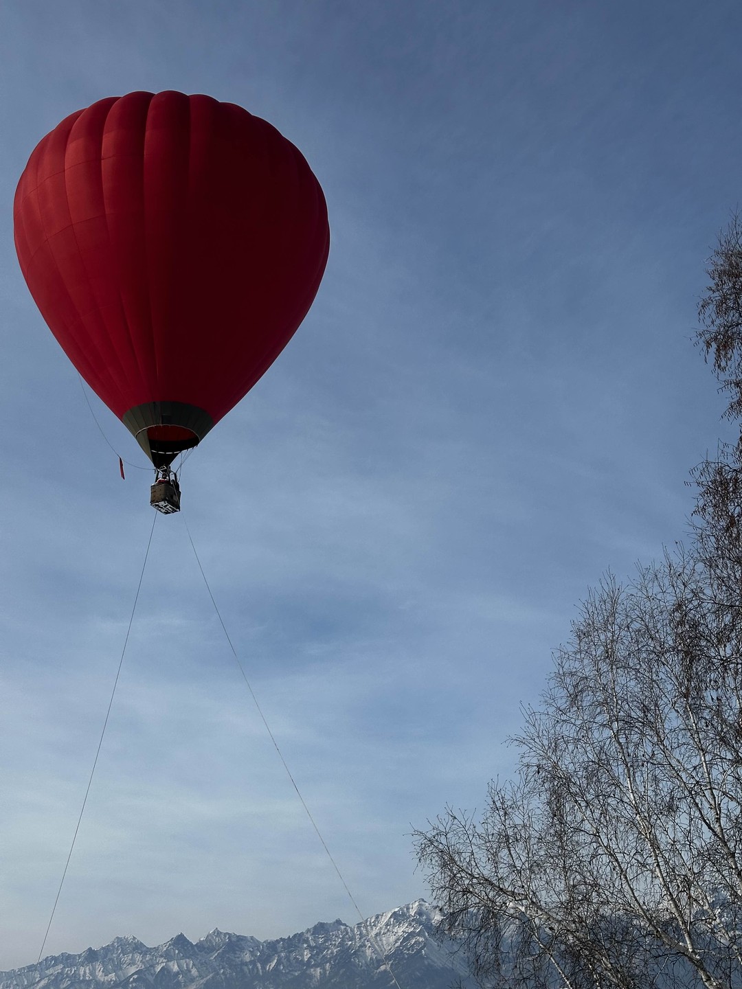 Отличная экскурсия! Спасибо большое нашему гиду Оксане, очень интересно рассказывала, комфортное и аккуратное вождение! Нам очень