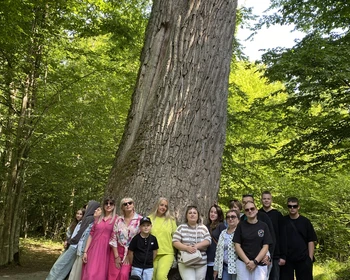 Брестская крепость, Беловежская пуща