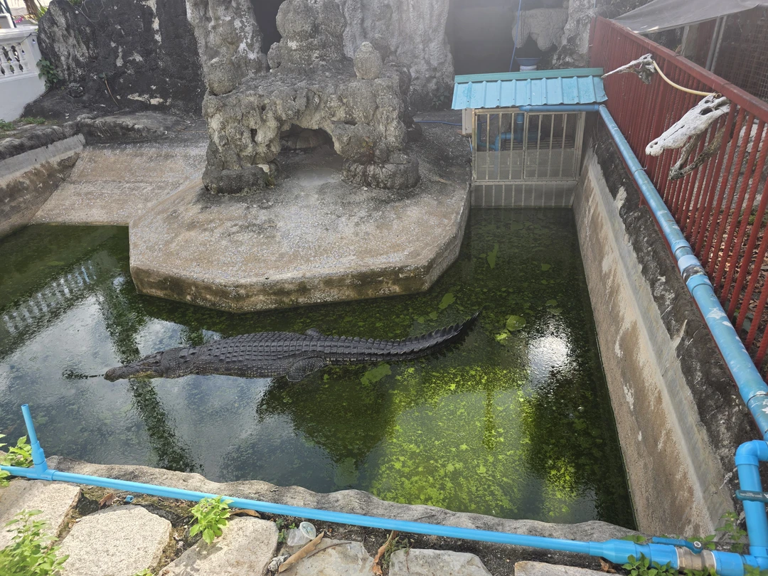 Спасибо Яне за приятную компанию и интересную беседу