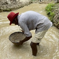 Фото отзыва 2: экскурсия "Визитные карточки Шри-Ланки: Форт Галле, речное сафари и черепахи"