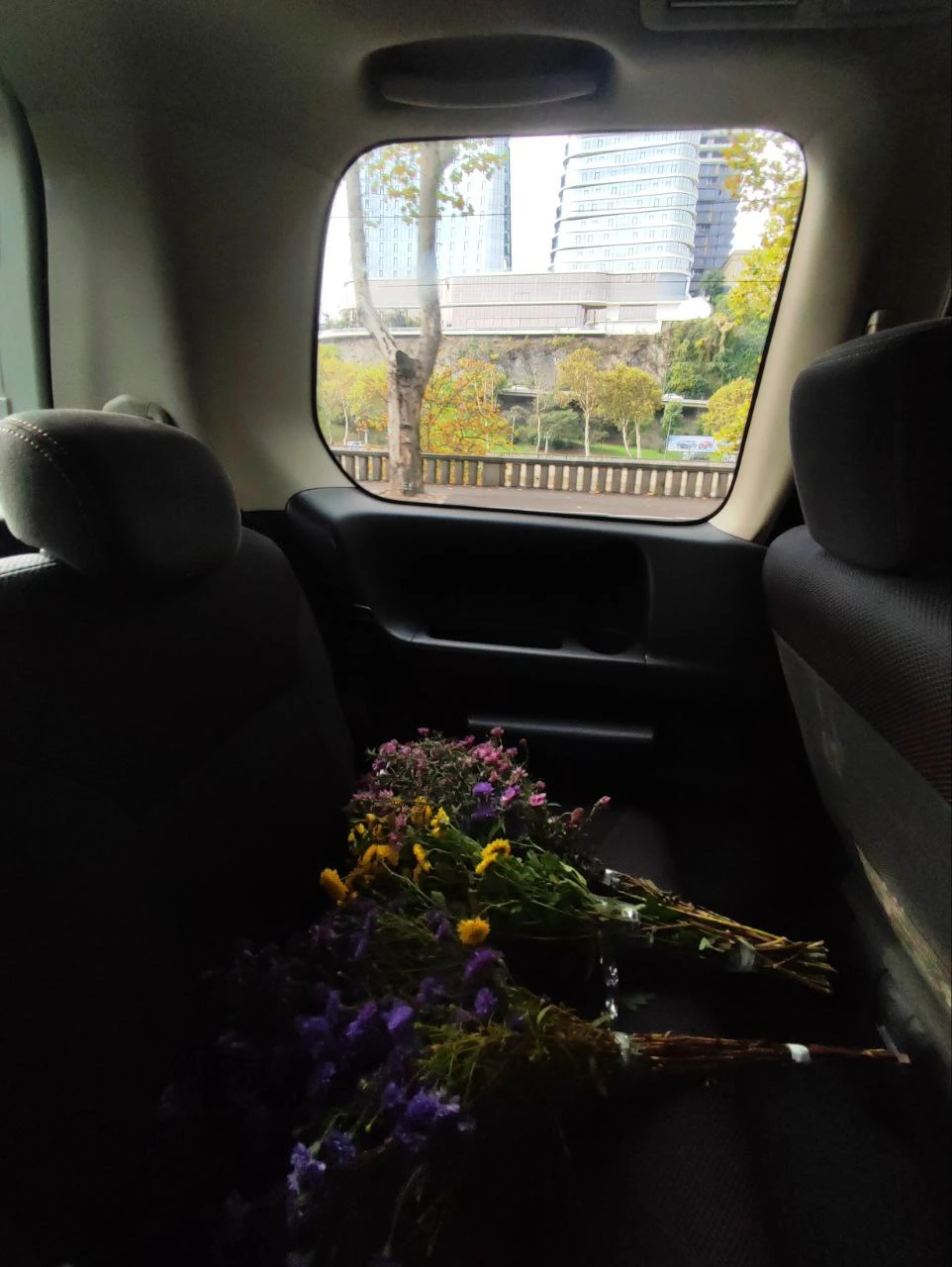 Обожаю эстетику кладбищ! Но путешествие по кладбищам Тбилиси позволило не просто посозерцать, а буквально прикоснуться к