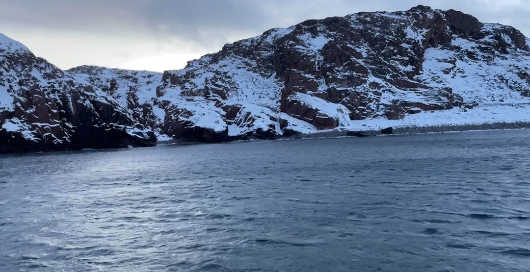 Морская прогулка из Териберки - в мини-группе (WARDIMIR)