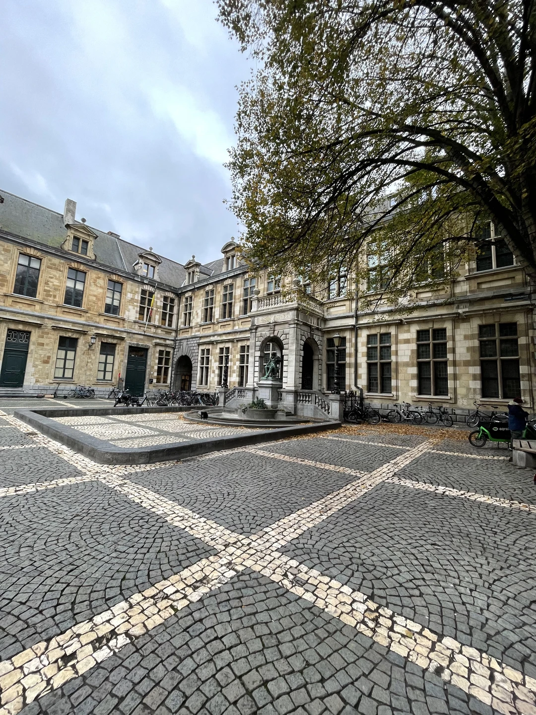 Хочу выразить благодарность Екатерине за любовь и знания к городу Антверпен и не только к этому великолепному городу