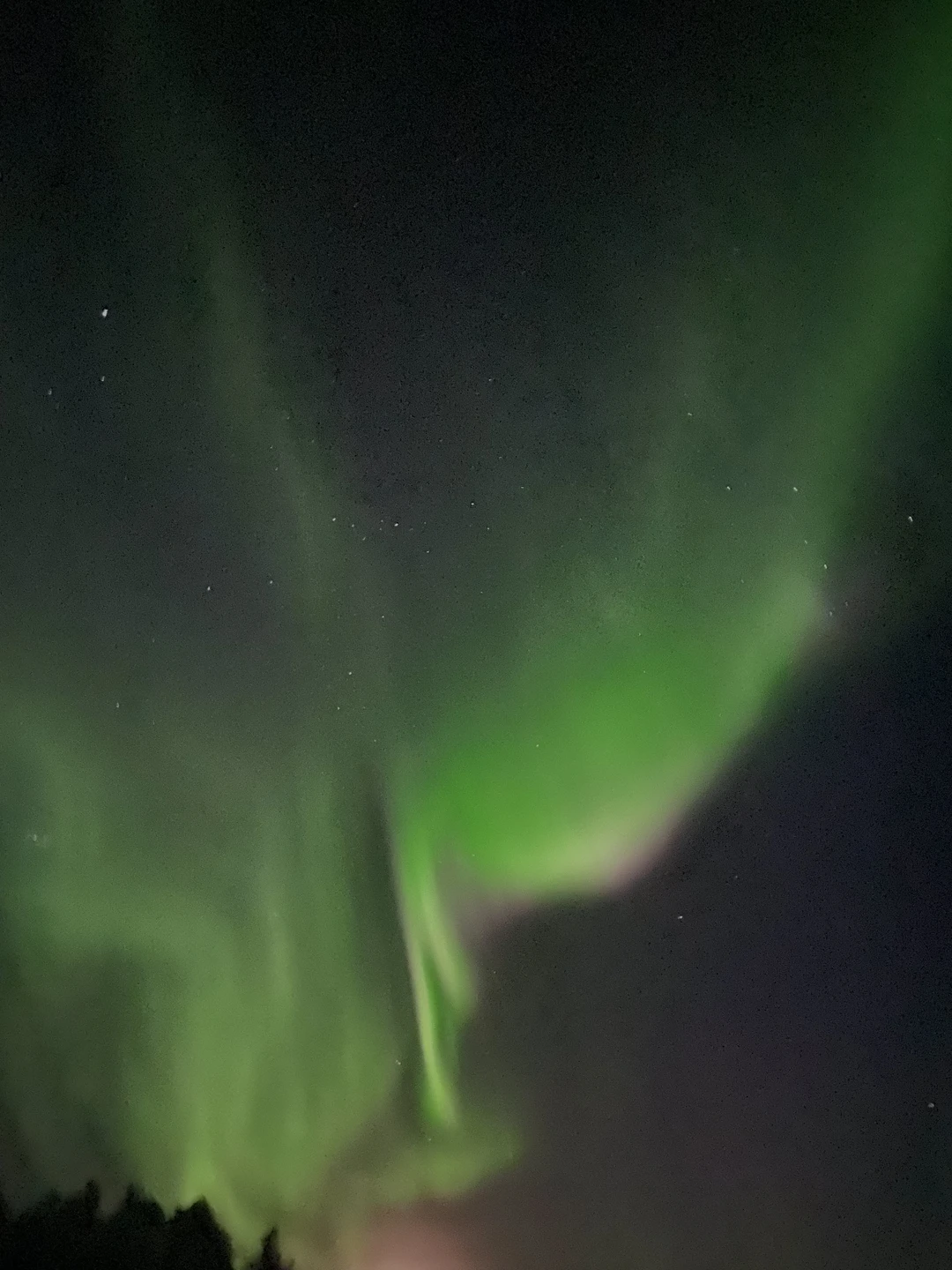 Охота за Северным сиянием из Мурманска (Александра)