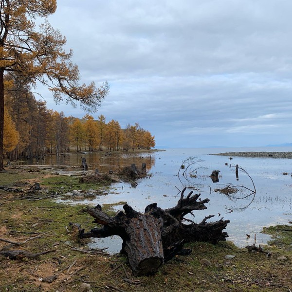 Фото экскурсии 5