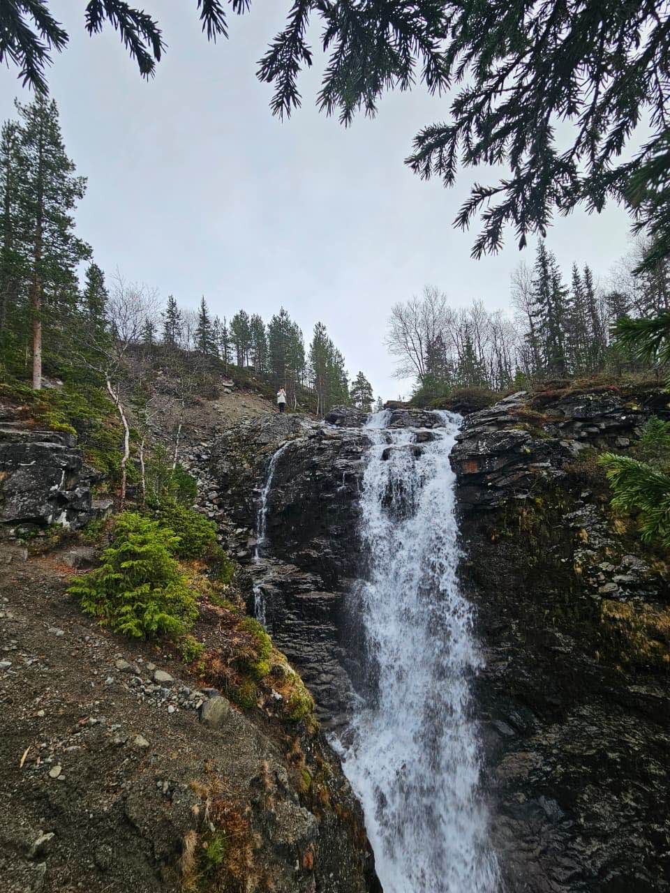 Выбрала эту экскурсию, поскольку маршрут не включал саамов, а больше именно джиппинг и горы. Гид был