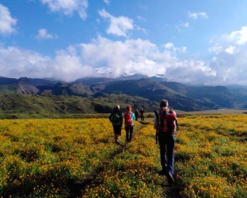 Место силы - гора Сирх