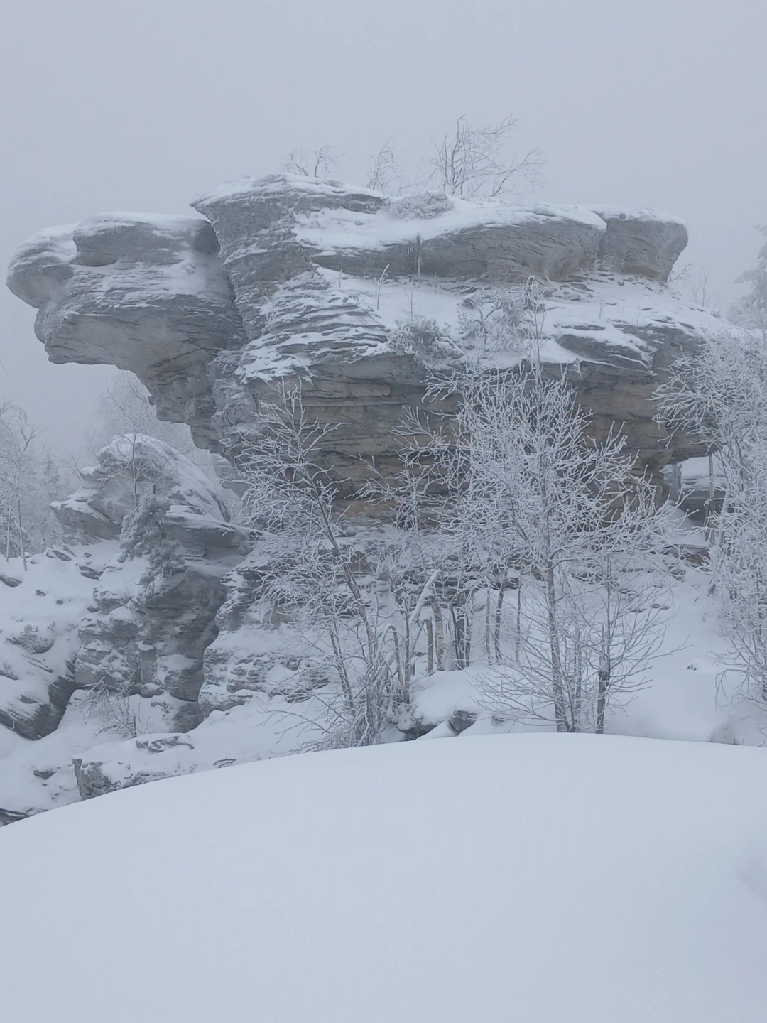 Была на экскурсии 29 ноября. Природа сделала подарок в виде снежного покрова за городом и от