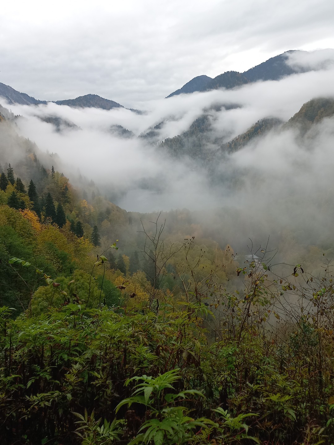 Главные жемчужины Страны Души за 1 день - из Сочи (Таршилова)
