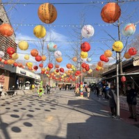 Фото отзыва 3: экскурсия "Визитные карточки Пекина + Великая Китайская стена"