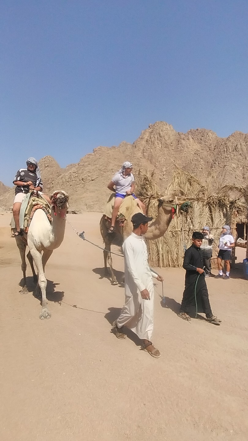 На квадроциклах в группе: сафари в Шарм-эль-Шейхе (Андрей)