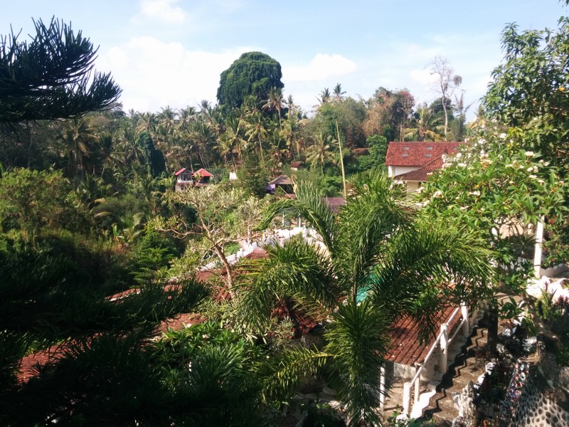 Фото отзыва 2: экскурсия "Путешествие по острову Бали"