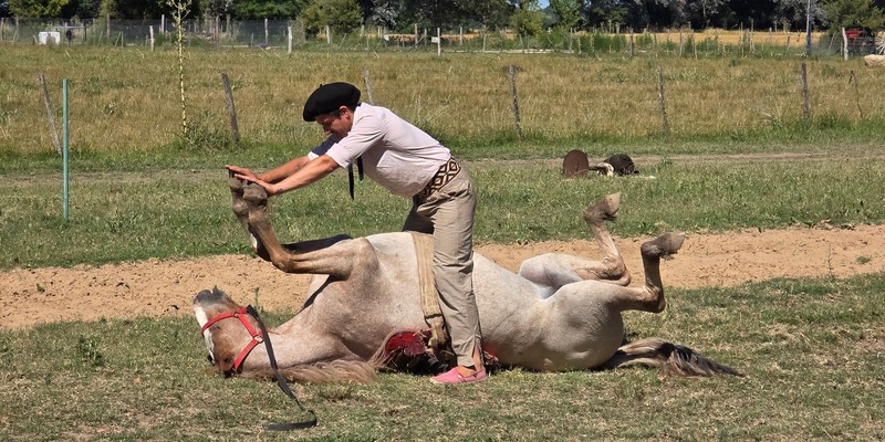 В гости к гаучо - хранителям традиций Аргентины (всё включено)