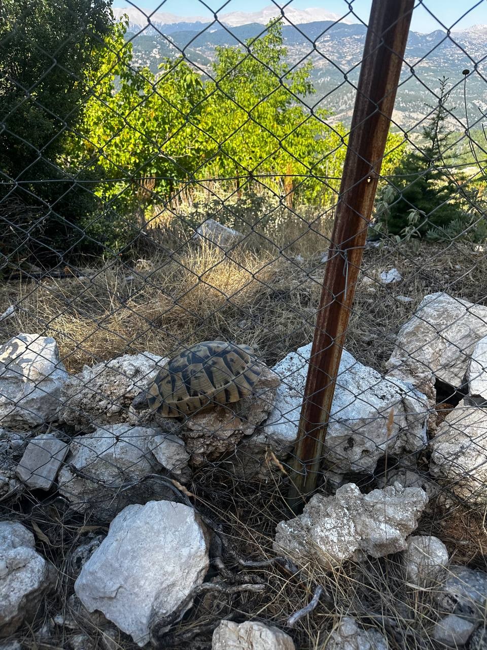 Супер! Будьте готовы к кайфу! И ещё будьте осторожны… ….. шутки Кирилла вылетают в обычном формате беседы. Много локаций с шикарными фото!