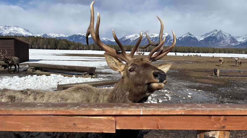 Были на двух экскурсиях с Олей (гид/экскурсовод) и Дмитрием (вёл машину)