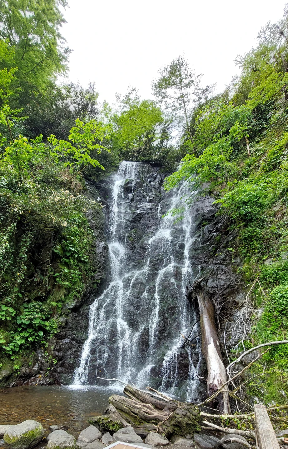 Все прошло замечательно. Вся семья осталась в восторге! Спасибо Алексею за классно проведённый день. 👍