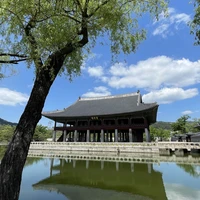 Фото отзыва 3: экскурсия "Символы современного и древнего Сеула"