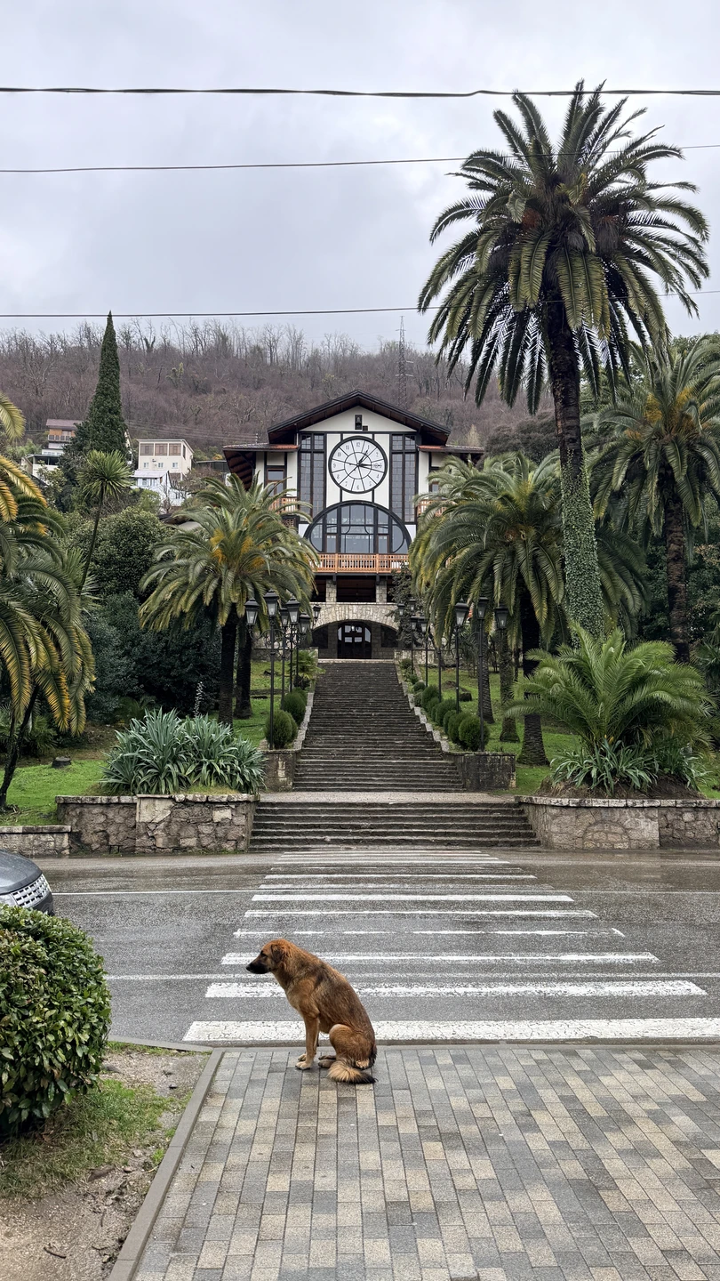 Спасибо огромное, все было очень здорово. У нас был экскурсовод Гамлет, который познакомил нас с вашей