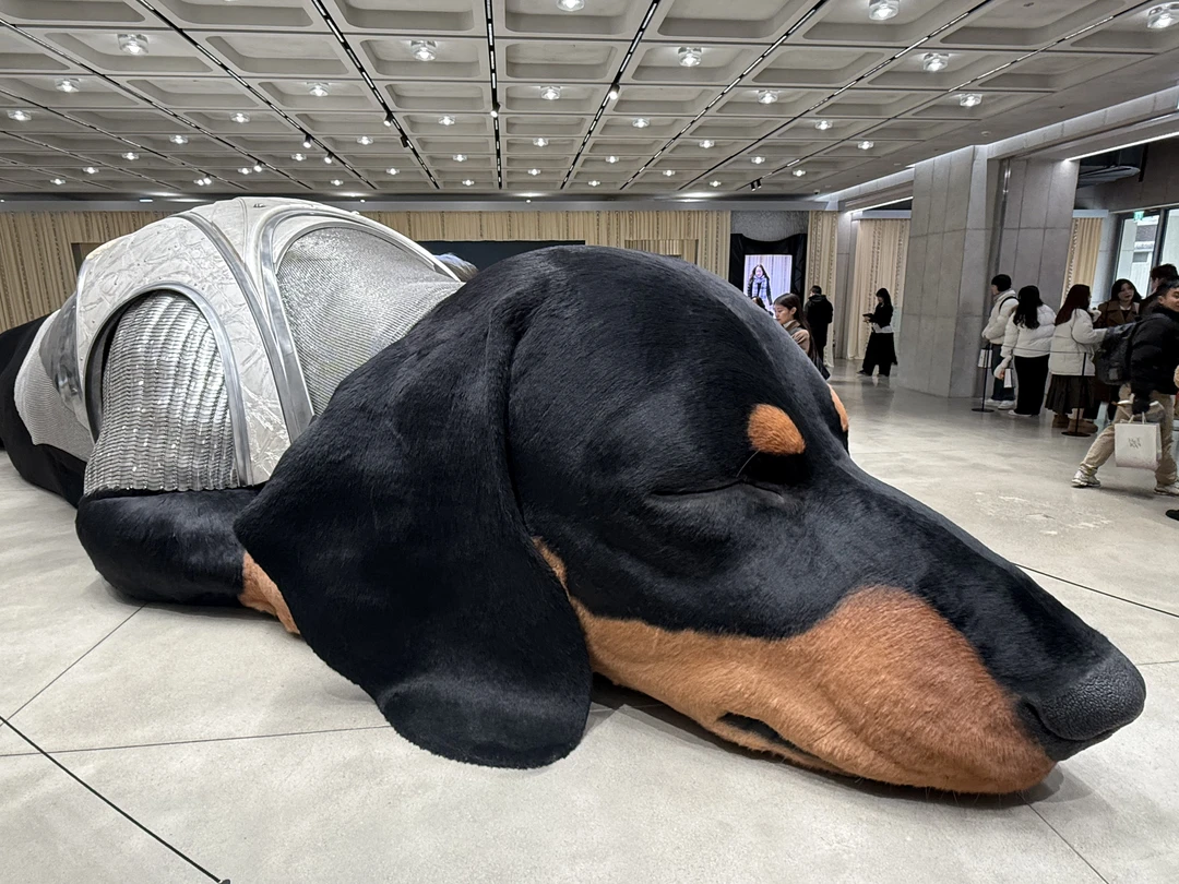 Спасибо большое Ксении за экскурсию! Мы остались довольны! Ксения показала нам интересные локации, перемещались на метро