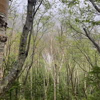 Фото отзыва 3: экскурсия "Сокровища побережья Сахалина — в мини-группе"