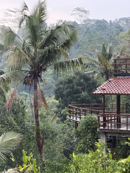 Интересная, комфортная, разнообразная и познавательная экскурсия) гид Suwitri отлично знает русский язык, всю экскурсию рассказывала о