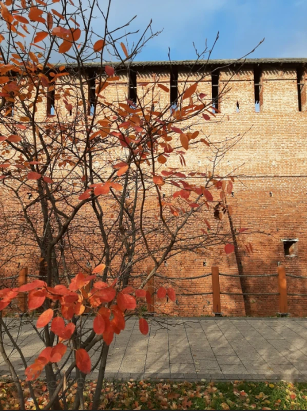 Экопрогулка в центре Коломны для детей и их родителей