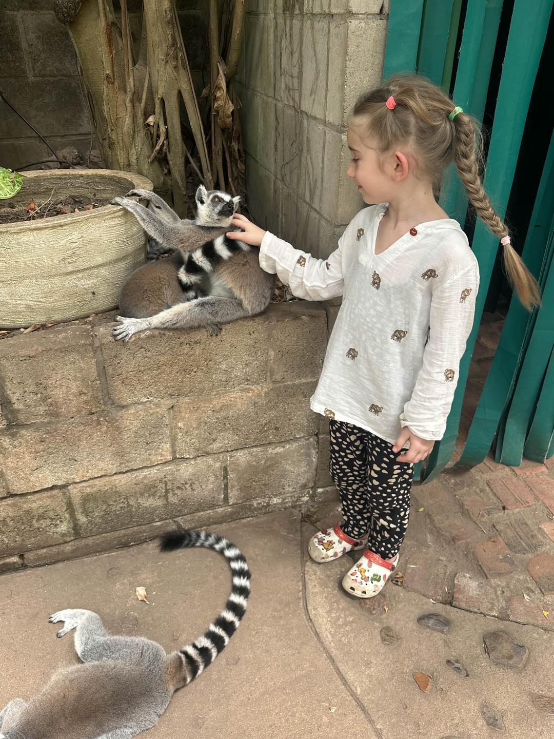 Александр, прекрасный гид. Полностью подстроился под мою семью, чтоб было интересно и вкусно нам взрослым и